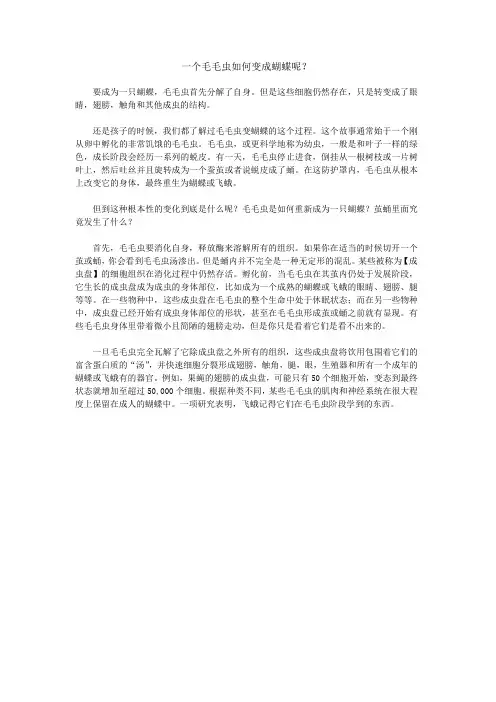 一个毛毛虫如何变成蝴蝶呢