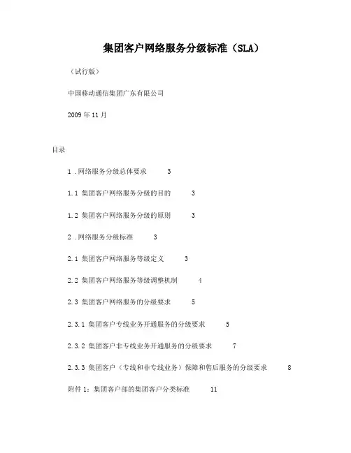 集团客户网络服务分级标准(试行版)