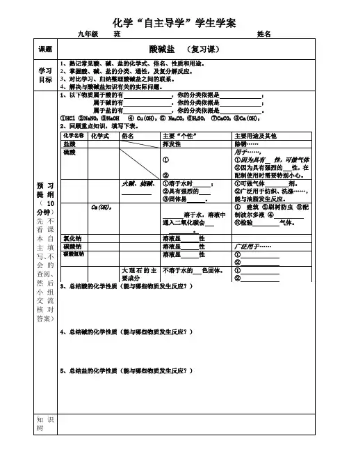 化学九年级第10单元复习学案