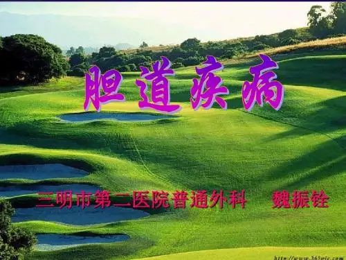 胆道课件