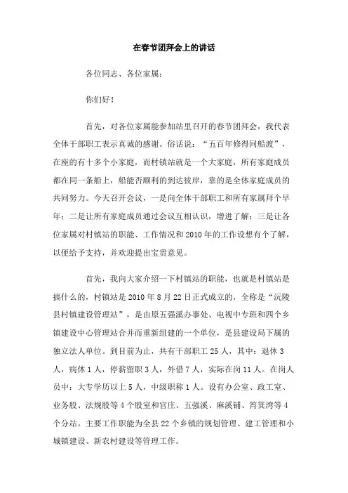 在春节团拜会上的讲话