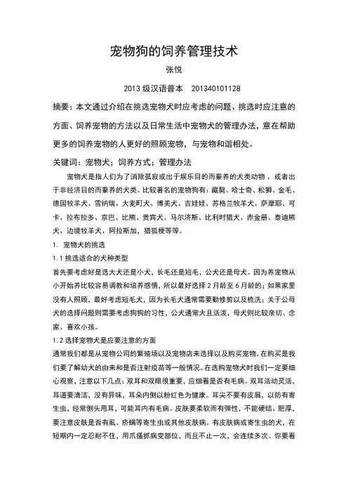 宠物狗的饲养管理技术