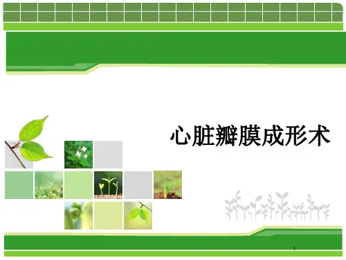 心脏瓣膜成形术PPT课件
