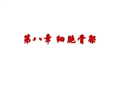 第八章 细胞骨架