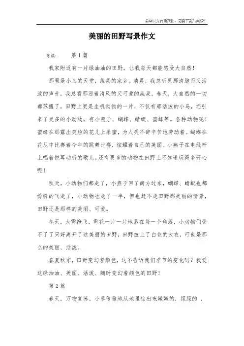 美丽的田野写景作文