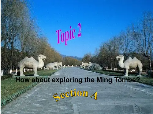 仁爱英语八年级下学期Unit6topic2sectionA