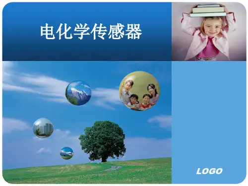 电化学传感器