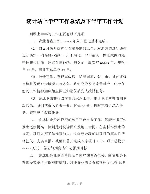 统计站上半年工作总结及下半年工作计划