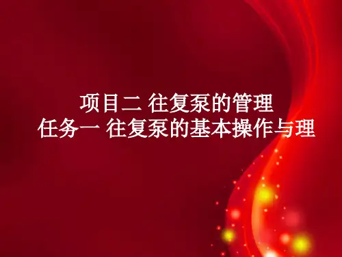 往复泵
