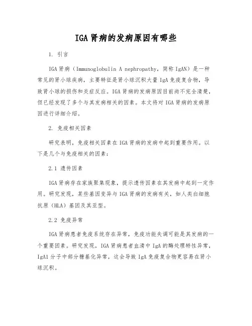 IGA肾病的发病原因有哪些