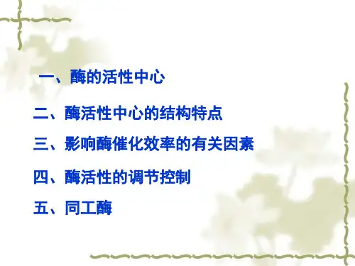 酶的活性中心