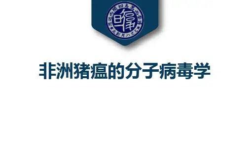 非洲猪瘟病毒ASFV基因组主要编码蛋白