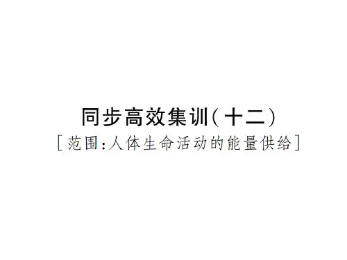 年中考生物江西专用总复习同步高效集训篇课件:同步高效集训(十二).pptx (共28张PPT)