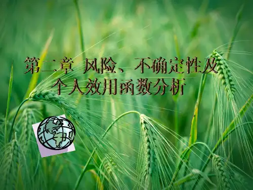 风险、不确定性及个人效用函数分析