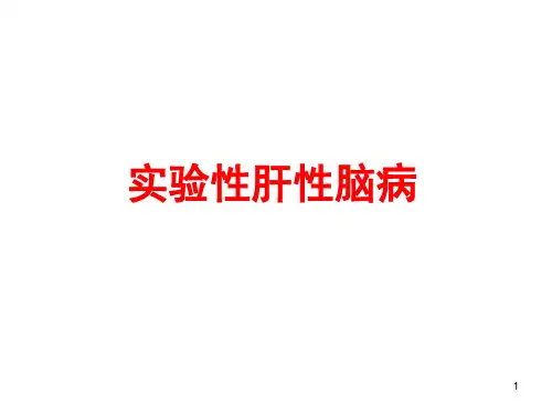 实验性肝性脑病PPT课件