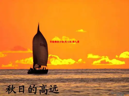 市场调查方法(英文版)第九章