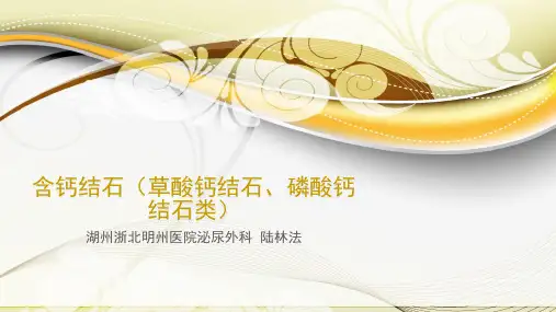 含钙结石(草酸钙结石、磷酸钙结石类)
