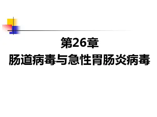 第26章 肠道感染病毒
