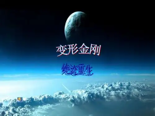 变形金刚4