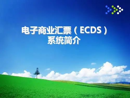 电子商票(ECDS)系统简介