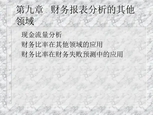 第9章财务报表分析的其他领域.pptx
