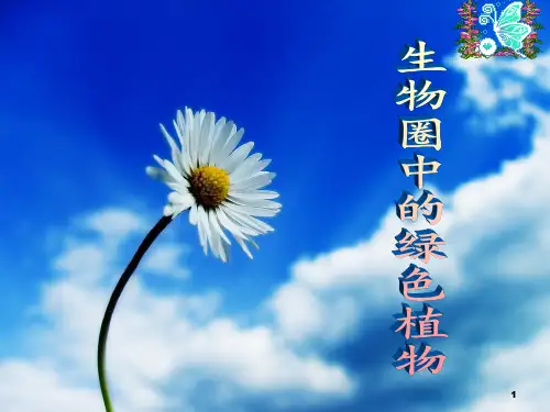 生物圈中的绿色植物(济南版七年级上册)
