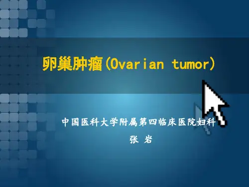 卵巢肿瘤ppt课件