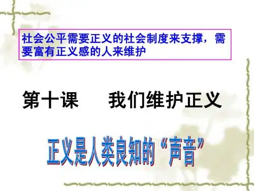 第十课  我们维护正义