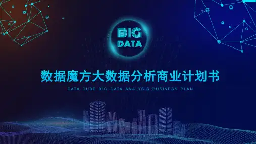 模板大数据分析BP商业计划书