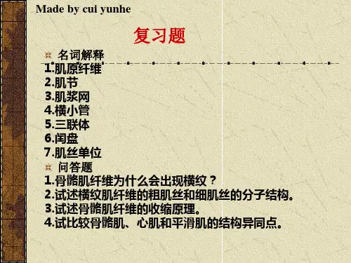 第6章: 肌组织