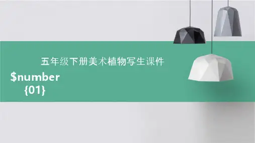 五年级下册美术植物写生课件