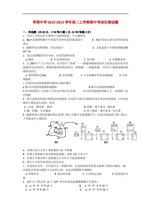 浙江省诸暨市高二生物上学期期中考试试题(实验班,无答案)新人教版