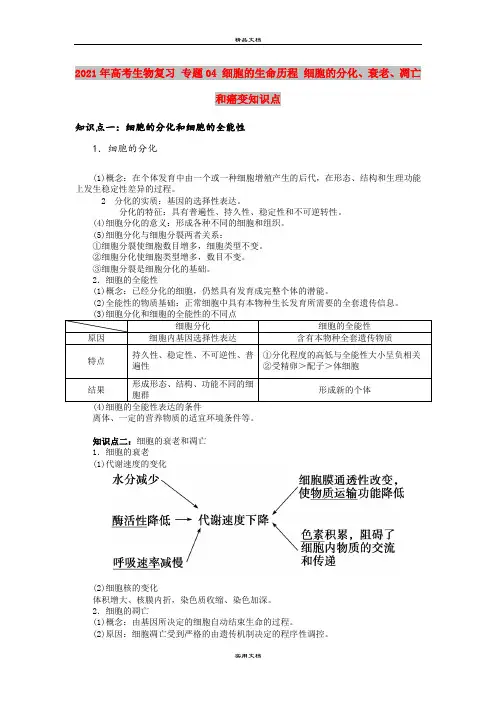 2021年高考生物复习 专题04 细胞的生命历程 细胞的分化、衰老、凋亡和癌变知识点