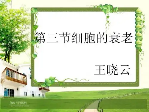 说课稿ppt