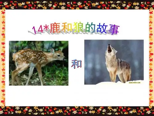 《鹿和狼的故事》课件