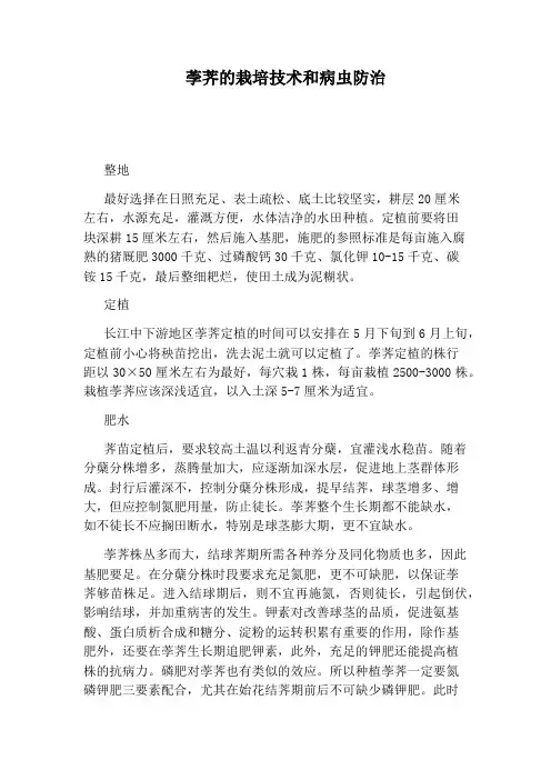 荸荠的栽培技术和病虫防治