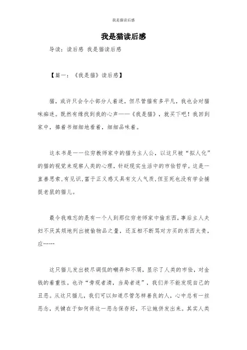 我是猫读后感