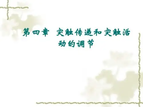 四章突触