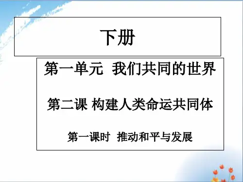 九年级道德与法治下册课件：第二课 第一课时