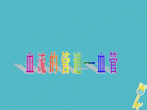 七年级生物下册 4.4.2《血流的管道—血管》
