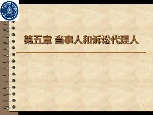 (精选)当事人和诉讼代理人完美
