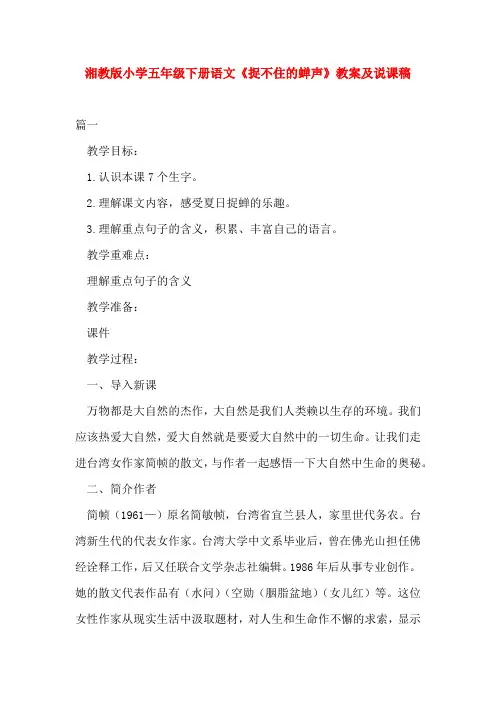 湘教版小学五年级下册语文《捉不住的蝉声》教案及说课稿
