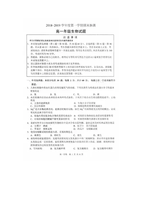 2018-2019学年江苏省徐州市高一上学期期末考试生物试题 扫描版