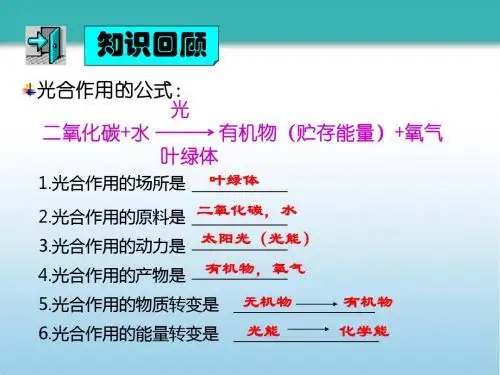 人教版七年级生物上册3.5.2《绿色植物的呼吸作用》课件 (共40张PPT)