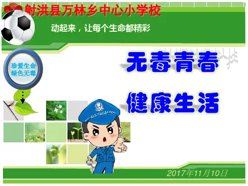 中小学生毒品预防教育课件