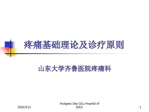 疼痛基础理论及诊疗原则