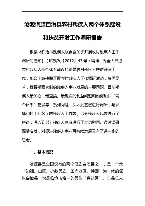 沧源县农村残疾人两个体系建设和扶贫开发工作调研报告