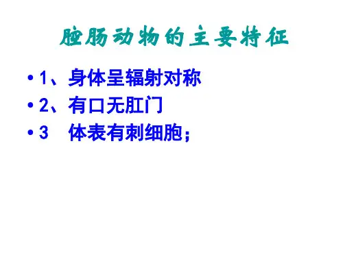 八年级生物上册无脊椎动物