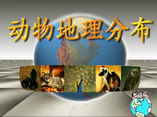 大学动物学--动物地理分布