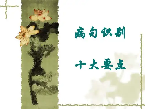 辨析病句十大要点